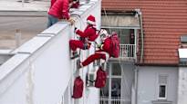 Video Croatian goats dont jump on walls because of Christmas