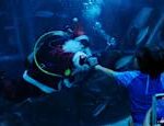 Video Santa Claus whistled while busy diving in Rio