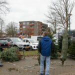 Village takes action for sad Christmas tree sellers I didnt