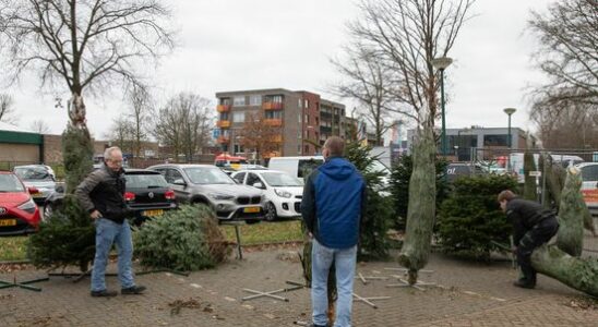 Village takes action for sad Christmas tree sellers I didnt