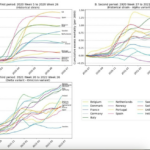 Which countries have managed the Covid 19 crisis best A scientific