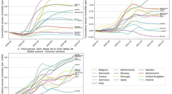 Which countries have managed the Covid 19 crisis best A scientific