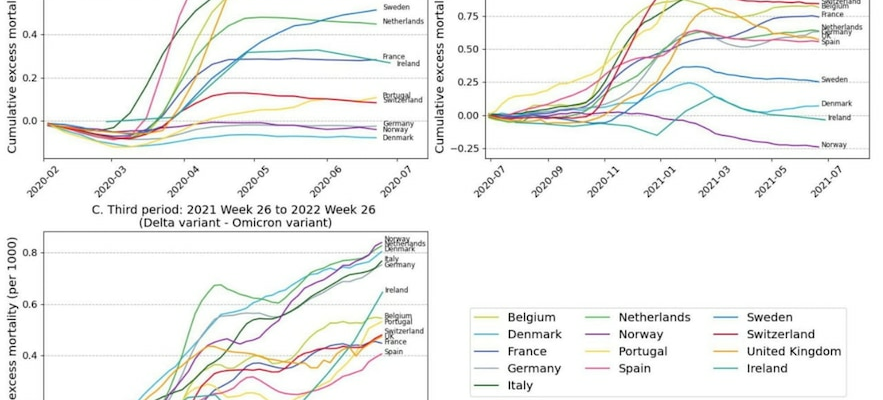 Which countries have managed the Covid 19 crisis best A scientific