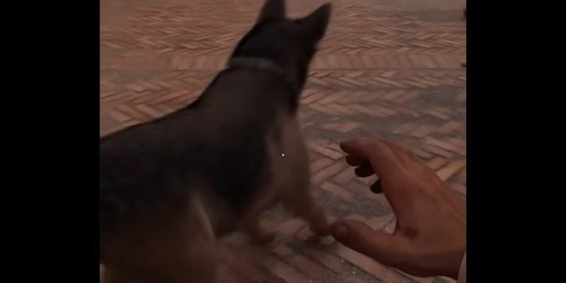 Why Cant Indiana Jones Kill Dogs