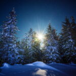 Winter solstice 2024 heres why this phenomenon is so special