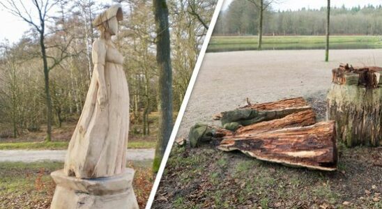 Wooden sculptures destroyed in Baarnse Bos I have never experienced