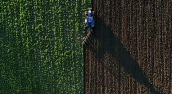 a large part of agricultural soil polluted by microplastics