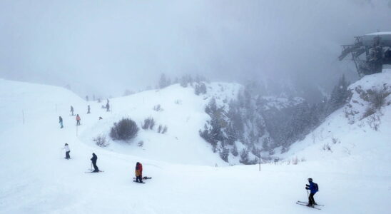 a surfer causing the avalanche The investigators trail