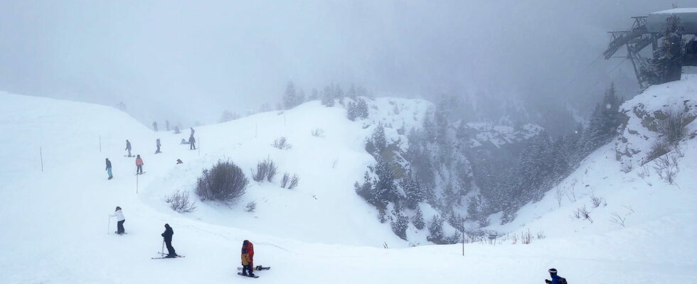 a surfer causing the avalanche The investigators trail