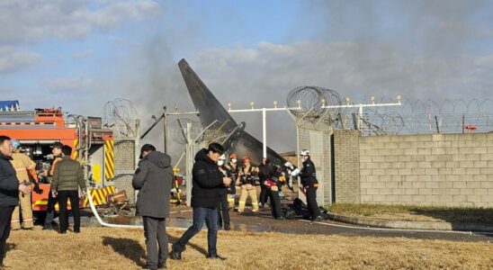 at least 29 dead in plane crash with 181 people