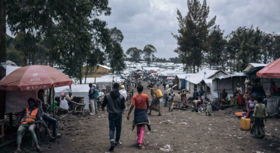 clashes between the army and the Wazalendo militias leave around