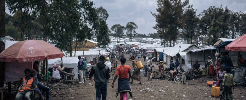 clashes between the army and the Wazalendo militias leave around