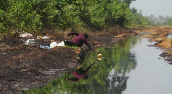 the Niger Delta depollution project is a total failure according