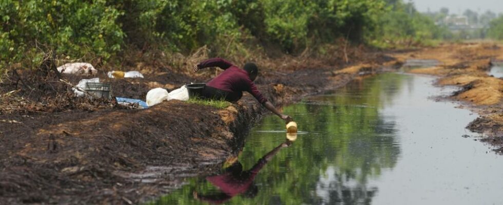 the Niger Delta depollution project is a total failure according