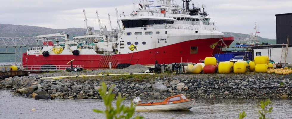 the difficult hunt for Vladimir Putins ghost fleet – LExpress