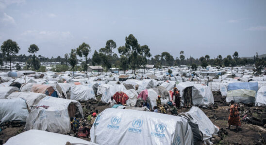 the expectations of the displaced people of Goma regarding the