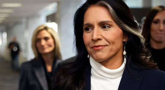 the sulfurous affinities of the future boss of intelligence Tulsi