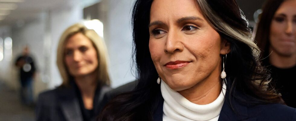 the sulfurous affinities of the future boss of intelligence Tulsi