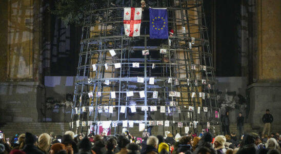 thousands of pro European demonstrators in front of parliament for an