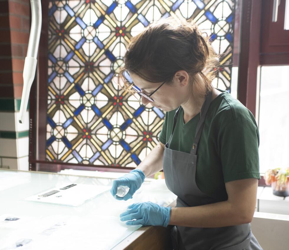 Documentation of a stained glass window of Notre Dame de Paris