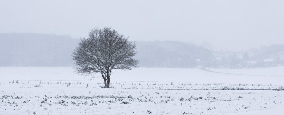 26 departments on severe cold alert detailed forecasts