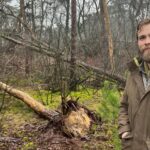 After the Valwind forest rangers left thousands of dead trees