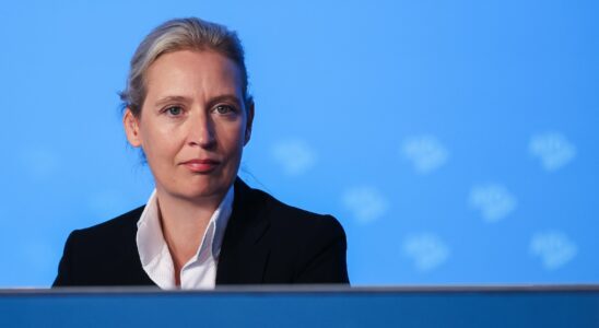 Alice Weidel the AfD candidate who dreams of becoming chancellor