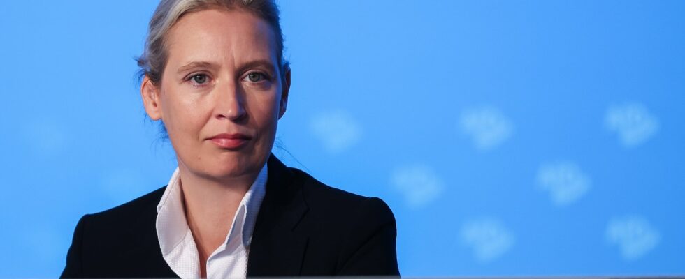 Alice Weidel the AfD candidate who dreams of becoming chancellor