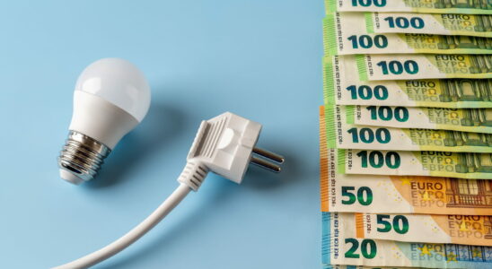 Alternative electricity suppliers offer interesting contracts to save money but