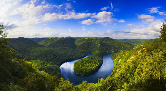 An air of Amazonia along the Meander de Queuille