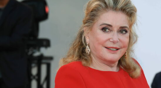 At 81 Catherine Deneuve wears her white hair with unparalleled