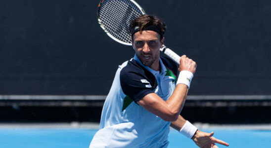 Australian Open 2025 several French people and Tsitsipas at the