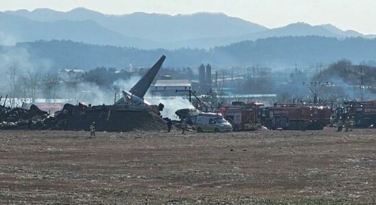 Big secret about the plane that crashed in South Korea