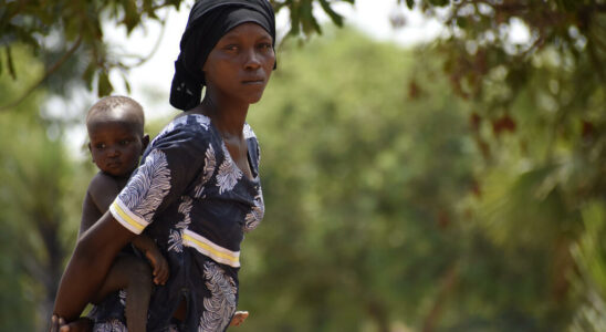 Chad an online petition to fight violence against women