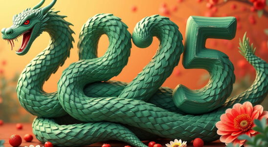 Chinese New Year 2025 Sign by sign here is what