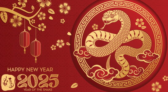 Chinese New Year 2025 predictions according to your astrological sign