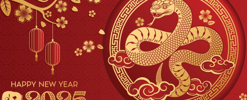 Chinese New Year 2025 predictions according to your astrological sign