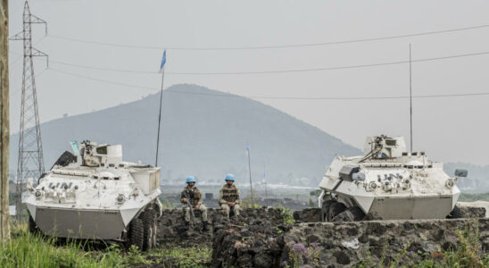 Conflict in eastern DRC concern of the international community MONUSCO