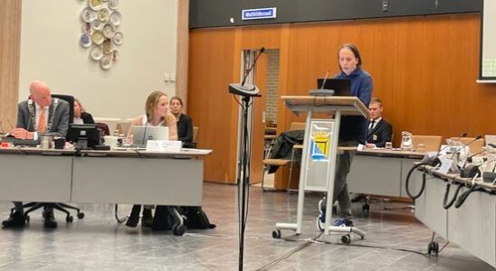 Council member leaves after disagreement at Forza De Bilt switches