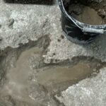 Dinosaur tracks discovered in Great Britain Latest news