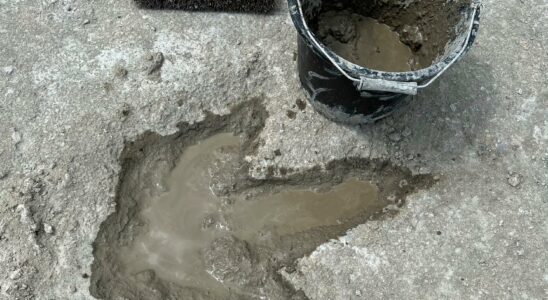 Dinosaur tracks discovered in UK