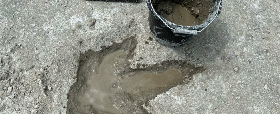 Dinosaur tracks discovered in UK