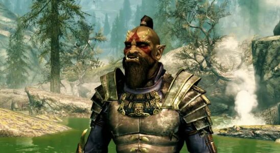 Elder Scrolls 6 Announcement Brings Skyrims Age