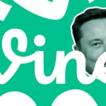 Elon Musk wants to bring back the Vine application