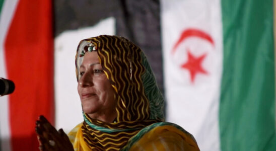 Fipadoc Western Sahara and the rebellious singer Mariem Hassan for