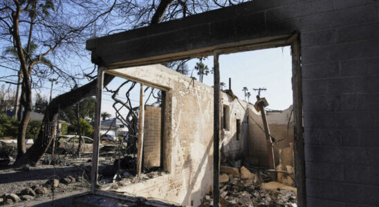 Fires in Los Angeles in Altadena the neighborhood looks like