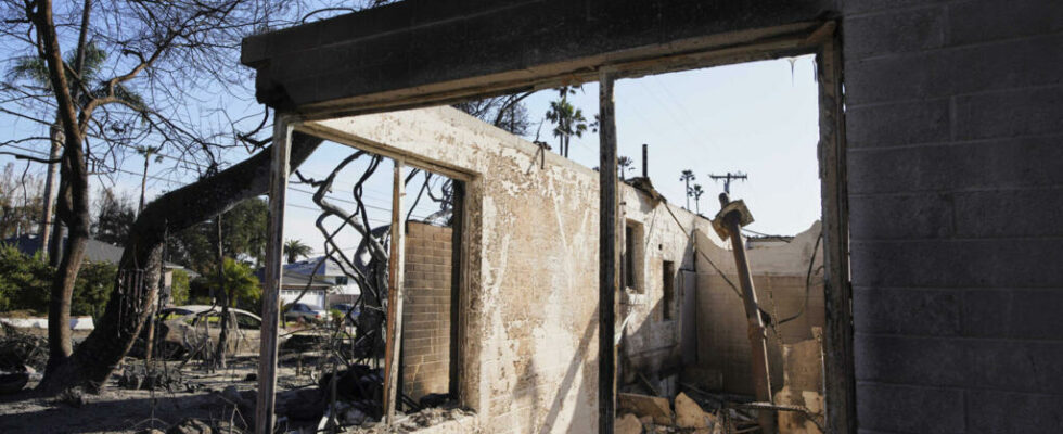 Fires in Los Angeles in Altadena the neighborhood looks like