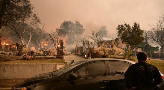 Fires in Los Angeles two infographics to understand the unprecedented