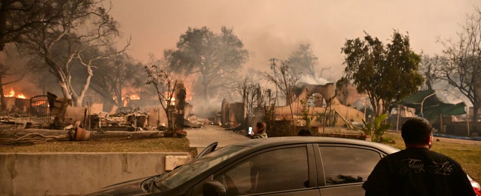 Fires in Los Angeles two infographics to understand the unprecedented