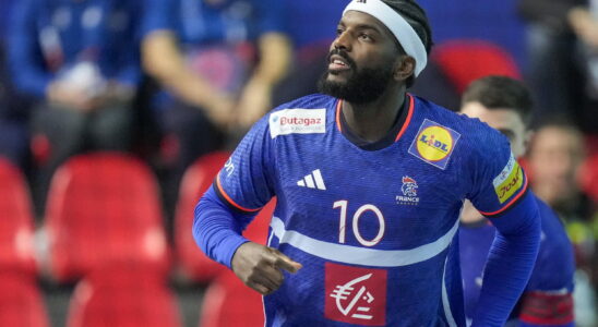 HANDBALL France – Austria the Blues continue to impress follow